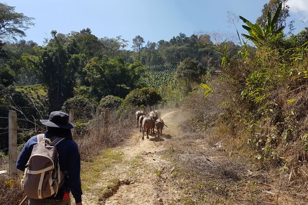 Thailand