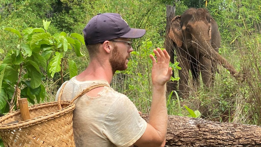 elephant valley project