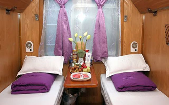 Violette Train