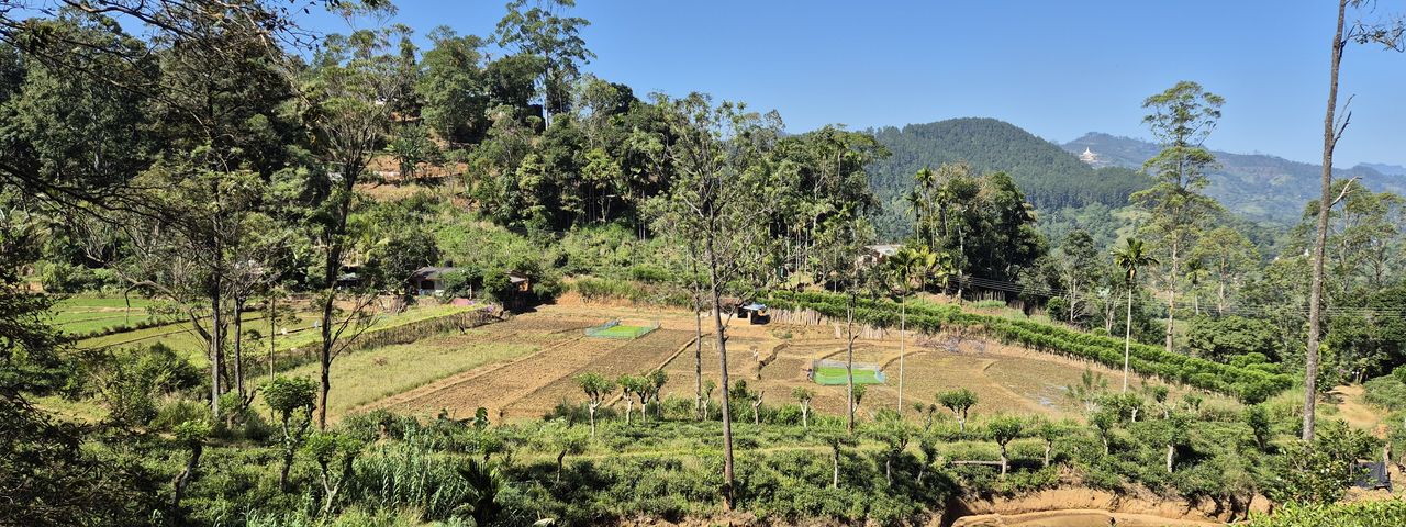 Scenery in Sri Lanka