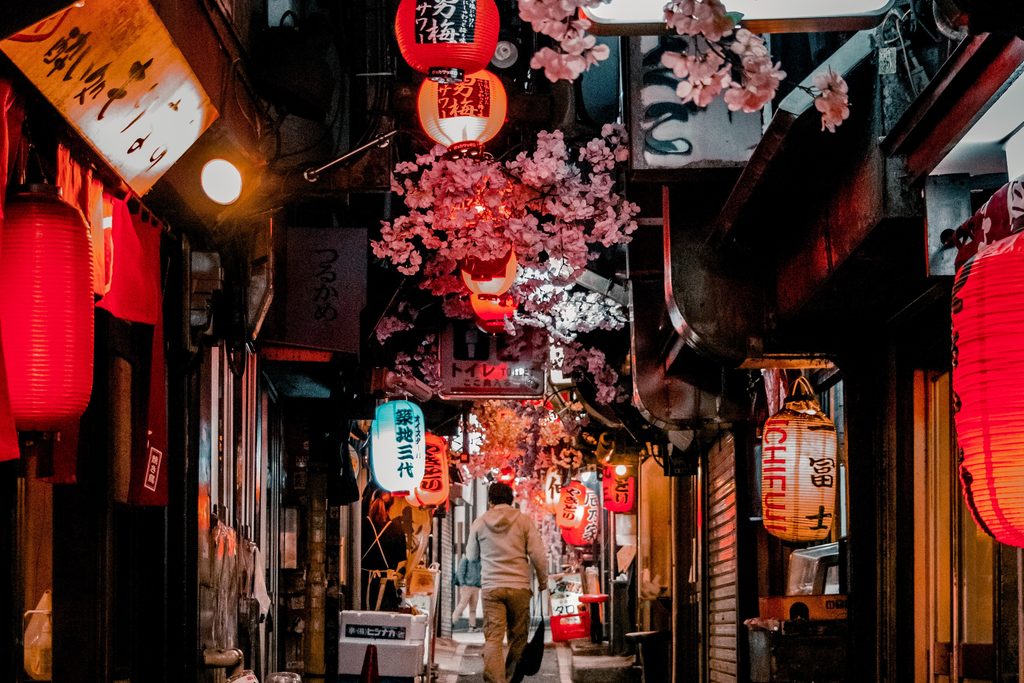 Omoide Yokocho, Tokyo