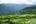 Paro