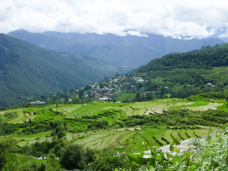 Punakha Valley