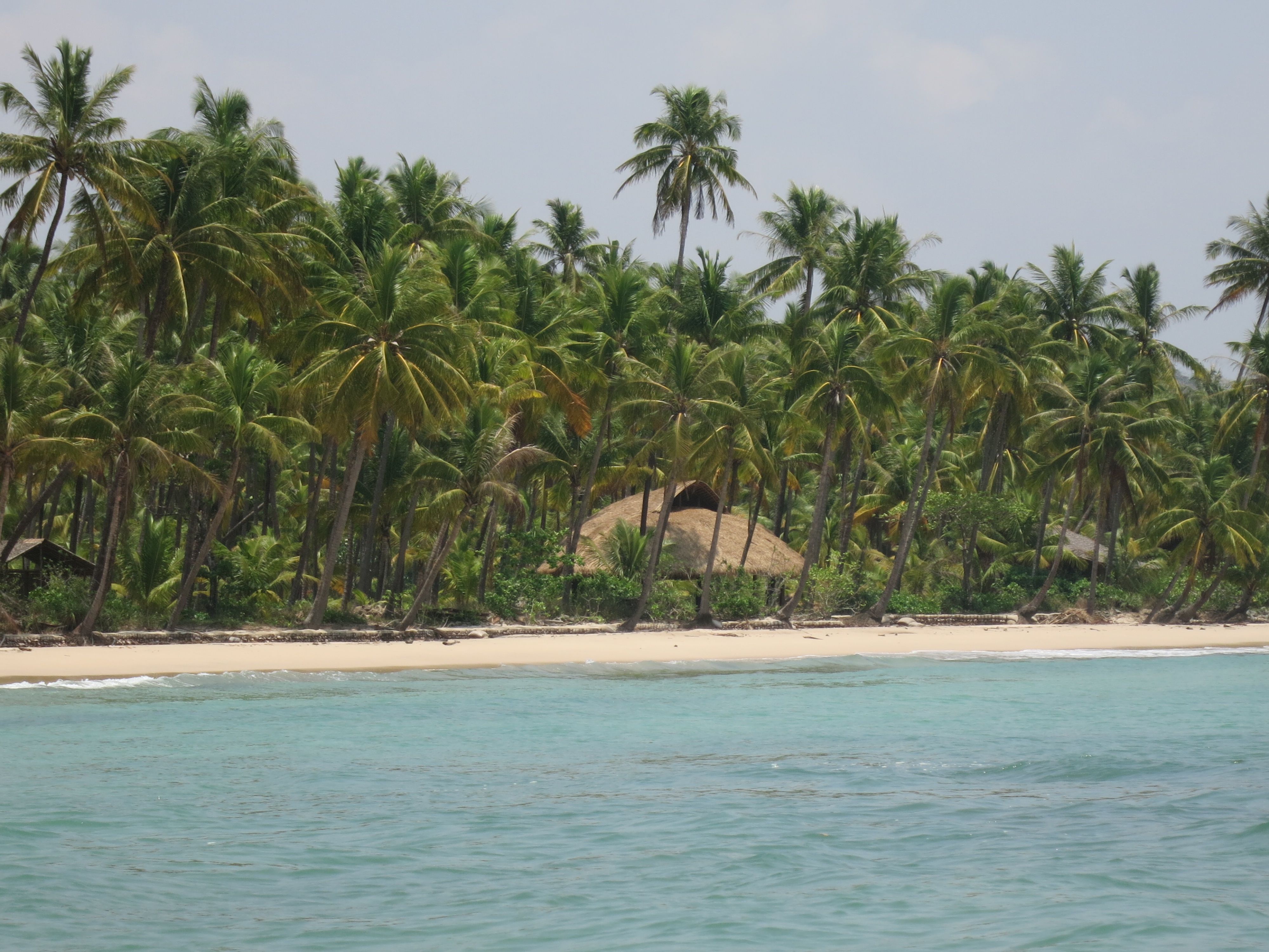Arakan nature lodge