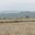 a field with houses in the background