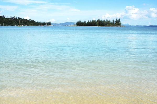 The Beach