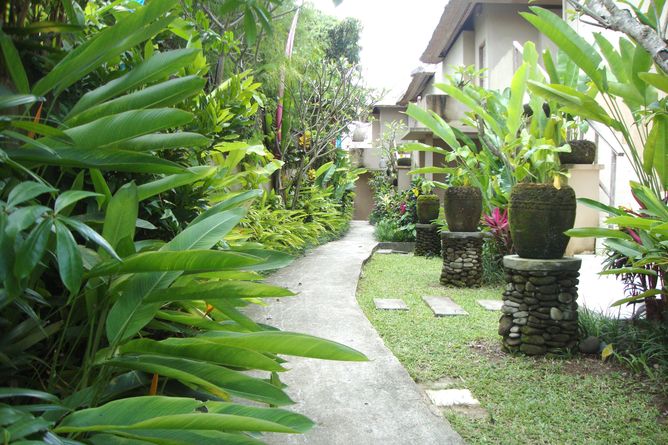 Tropical garden