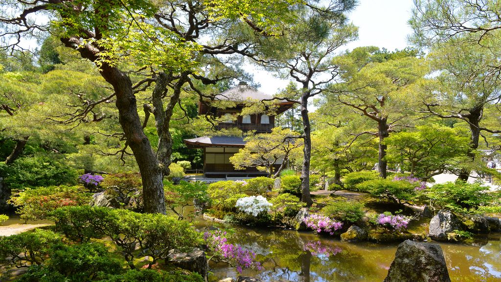 Japanese garden