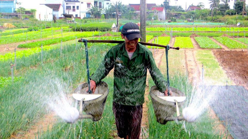 Vietnamese farmer