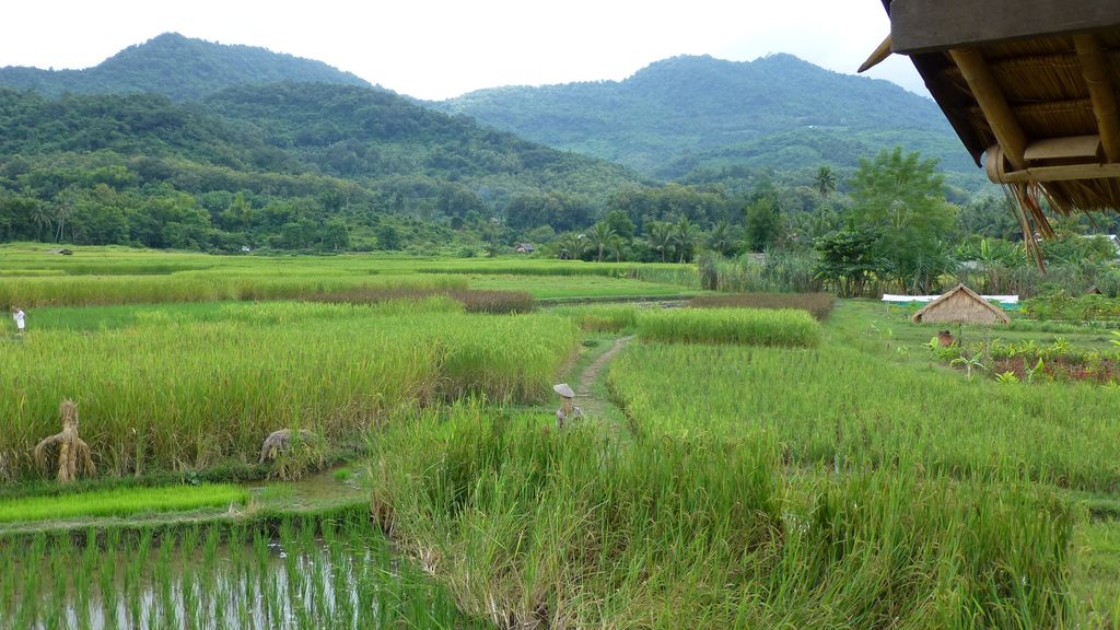 Phongsali