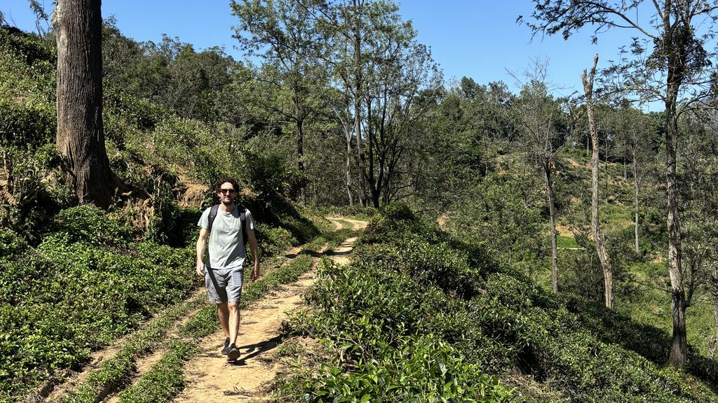 Walker on the Pekoe Trail