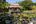 Lily pond at Maisons Wat Kor