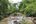 a river running through a forest