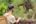 Visitor at the Elephant valley project Cambodia
