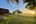 a grass field with trees and a building in the background