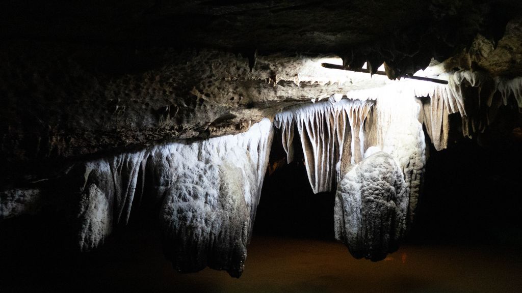 Stalactites in Phong Nha