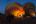Jaipur Balloon at dawn India