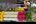people walking in a street with flowers