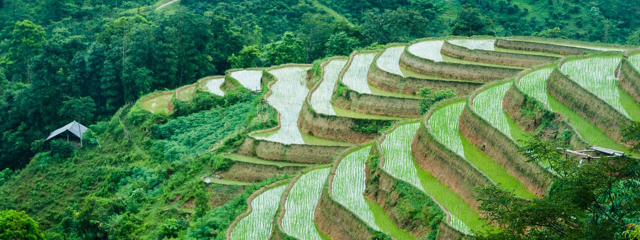 Ha giang