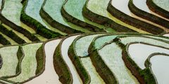 a close up of a field
