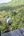 a person in a helmet on a zip line