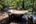 a bathtub outside with trees in the background