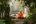 a monk sitting on a stone path in the woods