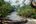 a river with trees and rocks