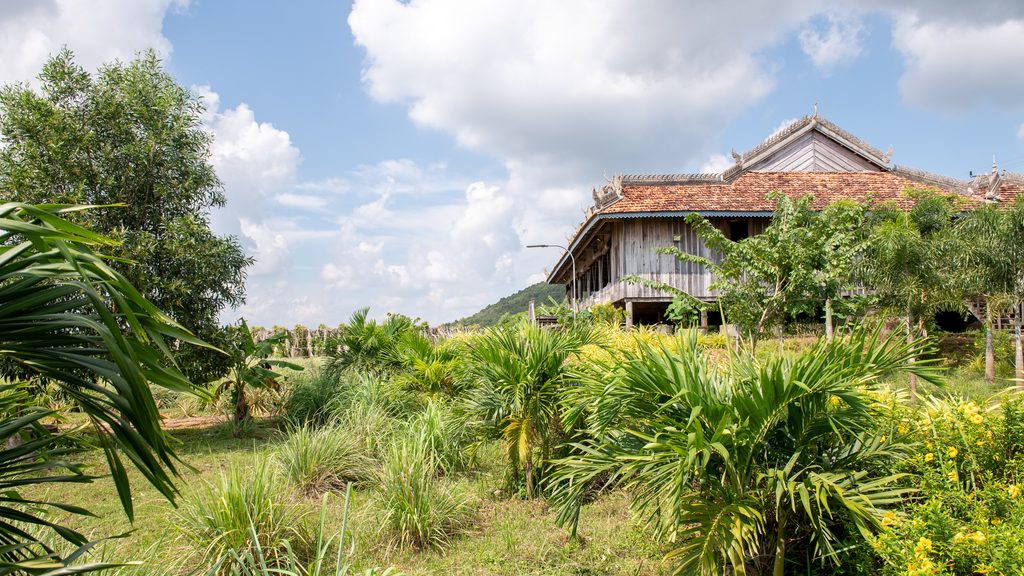 Kep pepper plantation
