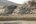 Birds in Jawai India