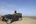 a woman standing on a jeep