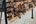 a group of small wooden tags on a wall