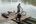 a man on a bicycle on a dock
