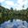 a body of water with trees and clouds in the sky