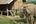 an elephant standing outside a hut