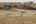 Jawai landscape