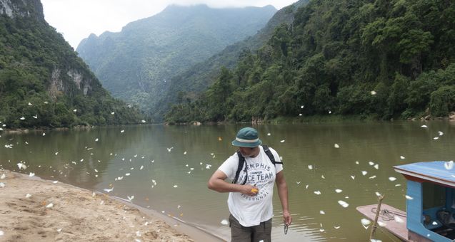 Laos Specialist Lionel and Butterflies