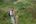 a man hiking in a forest