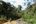 Trekking in the Kelabit Highlands