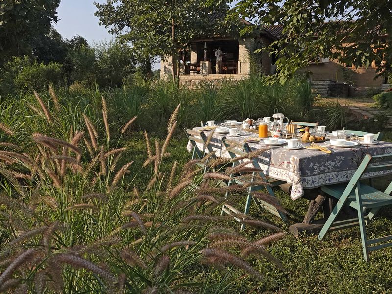 Breakfast in the garden at Sarai At Toria