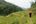 a person walking on a grassy hill