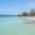 a beach with trees and clear water