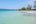 a beach with trees and clear water