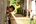 a boy looking out of a window