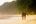 a couple walking on a beach