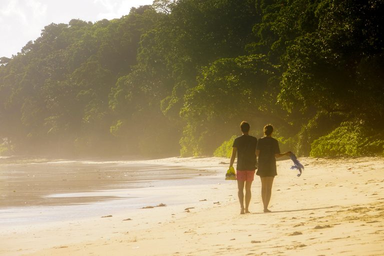 a couple walking on a beach