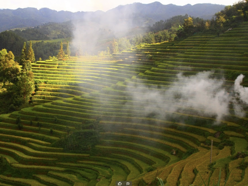 Rice terraces in Mu Cang Chai