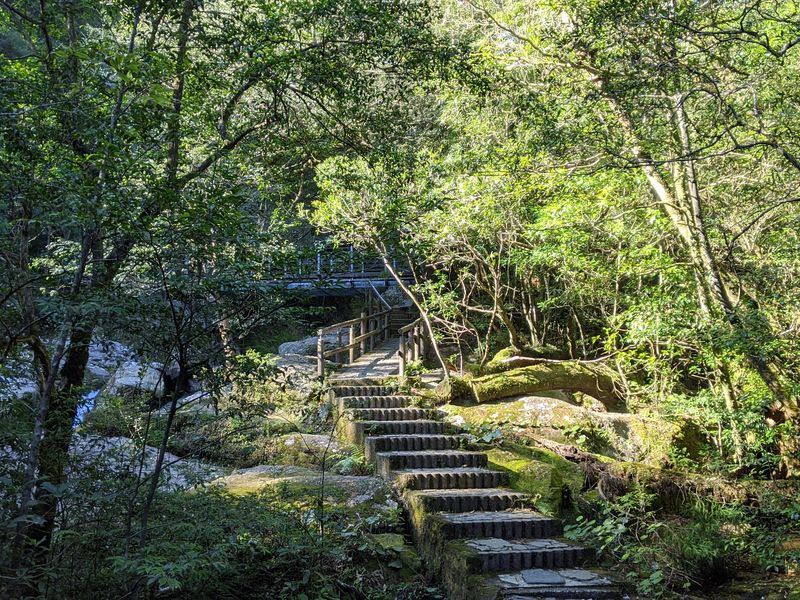 Kyushu