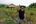 a man in a straw hat standing in a rice field