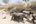a group of buffaloes walking on a dirt road